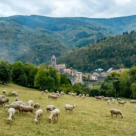Total Peace And Quiet On The Of The Mountain, *