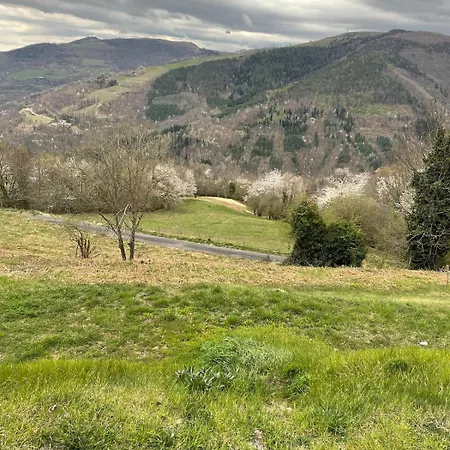 Total Peace And Quiet On The Of The Mountain,