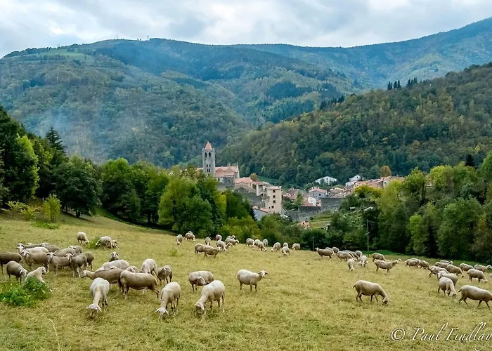 Total Peace And Quiet On The Of The Mountain, *