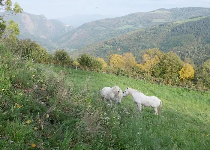 Total Peace And Quiet On The Of The Mountain, Сasa de vacaciones *