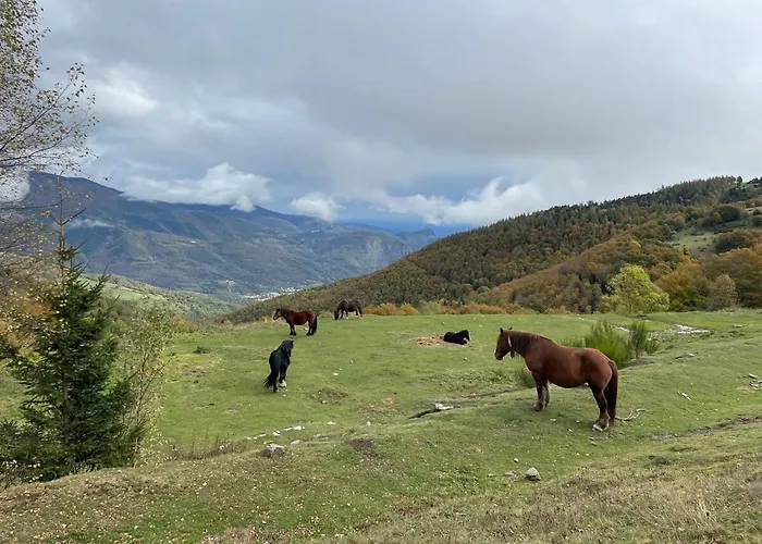 Total Peace And Quiet On The Of The Mountain, Сasa de vacaciones *